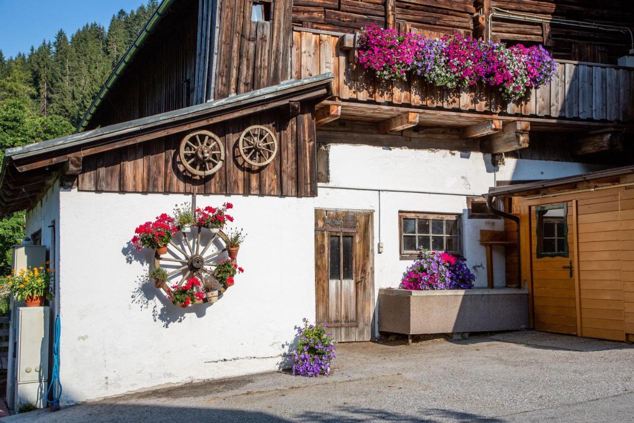 בית הארחה רמסאו אם דכשטיין 	Bio-Bauernhof Grundlehnerhof מראה חיצוני תמונה