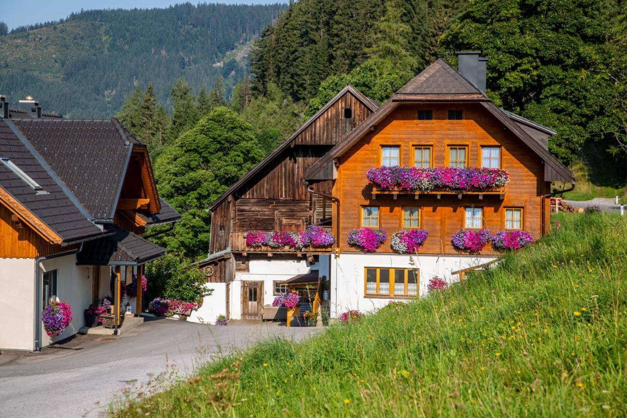 בית הארחה רמסאו אם דכשטיין 	Bio-Bauernhof Grundlehnerhof מראה חיצוני תמונה