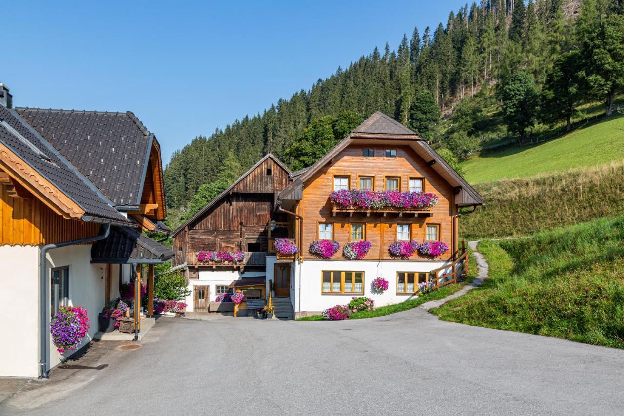 בית הארחה רמסאו אם דכשטיין 	Bio-Bauernhof Grundlehnerhof מראה חיצוני תמונה