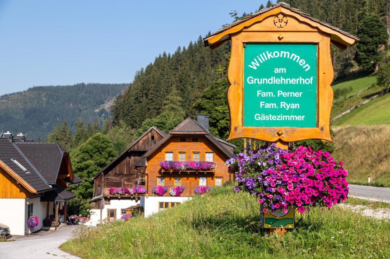 בית הארחה רמסאו אם דכשטיין 	Bio-Bauernhof Grundlehnerhof מראה חיצוני תמונה